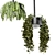 Metal Box Hanging Plants Set 3D model small image 4