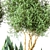 Indoor Greenery: Vol. 21 3D model small image 5