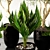 Indoor Greenery: Vol. 21 3D model small image 9