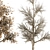 All Seasons Broadleaf Tree Set 3D model small image 2