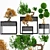 Exquisite Bonsai Tree Collection 3D model small image 1