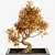 Exquisite Bonsai Tree Collection 3D model small image 2