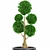 Exquisite Bonsai Tree Collection 3D model small image 5