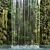 Waterfall Wall Plants for 3dsMax 3D model small image 4