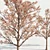 Majestic 3D Tree Model 3D model small image 2