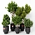 Modern Green Indoor Plant: Vol. 22 3D model small image 1