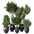 Modern Green Indoor Plant: Vol. 22 3D model small image 6