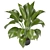 Ferm Living Bau Pot Large - Set 136: Indoor Plants 3D model small image 5