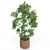 612 Plant Collection: Stunning Greenery Bundle 3D model small image 2