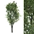 Lush Evergreen Tree for Stunning Landscapes 3D model small image 2