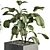 Botanical Bliss: Indoor Plant Set 3D model small image 3