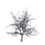 Exterior Scene Ready Bare Tree 3D model small image 1