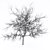 Exterior Scene Ready Bare Tree 3D model small image 2