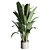 Ravenala Concrete Vase: Indoor Outdoor Plants 3D model small image 1