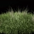 Outdoor Bush Set 343 - 3D Plant Models 3D model small image 2