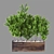 Green Paradise: Indoor Plant Vol 24 3D model small image 1