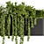 Botanical Box: Hanging Indoor Plant Set 3D model small image 2