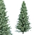 Cypress Pine Trees Collection 3D model small image 2