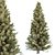 Cypress Pine Trees Collection 3D model small image 3