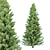 Cypress Pine Trees Collection 3D model small image 5