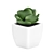 Small White Pot Plant: 2015 Version 3D model small image 5