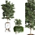 Premium Plant Collection 08 3D model small image 2