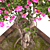 Thriving Spring Trio: 3D Plants 3D model small image 2