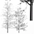 Winter Wonderland Tree - Realistic Acer Buergerianum Beauty 3D model small image 4