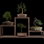 Pristine Bonsai Set: 4 Tree Types 3D model small image 2