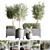 Premium Indoor Plant Set 3D model small image 1