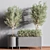 Premium Indoor Plant Set 3D model small image 4