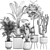 Tropical Oasis Plant Collection: Ficus, Palm, Cactus 3D model small image 7