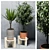  Green Oasis: Indoor Plants Set 3D model small image 3