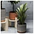  Green Oasis: Indoor Plants Set 3D model small image 5