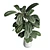 Ficus Rubbery Concrete Pot - 3Dmax Vray & Corona 3D model small image 3