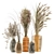 Elegant Dry Plants Bouquet Set 3D model small image 1