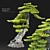 Exquisite Bonsai Tree: 1.2m Tall 3D model small image 1