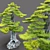 Exquisite Bonsai Tree: 1.2m Tall 3D model small image 2