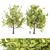 PBR Trees Vol. 14 - Two Stunning Models 3D model small image 1
