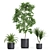 Exquisite Plant Collection 613 3D model small image 2