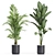 Exquisite Plant Collection 613 3D model small image 3