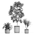 Exquisite Plant Collection 613 3D model small image 4