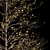 Winter Snow Real Tree - Small Acer Saccharinum 3D model small image 2