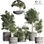 Indoor Plant Collection: 10 Varieties 3D model small image 2