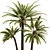 Elegant Date Palm Tree 3D model small image 1