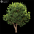  Majestic Land Scape Tree 3D model small image 1