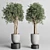 Concrete Dirt Vase Pot Tree 3D model small image 2
