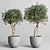 Concrete Dirt Vase Pot Tree 3D model small image 3