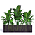 Tropical Banana Plant in Flower Pot 3D model small image 4
