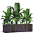 Tropical Banana Plant in Flower Pot 3D model small image 5